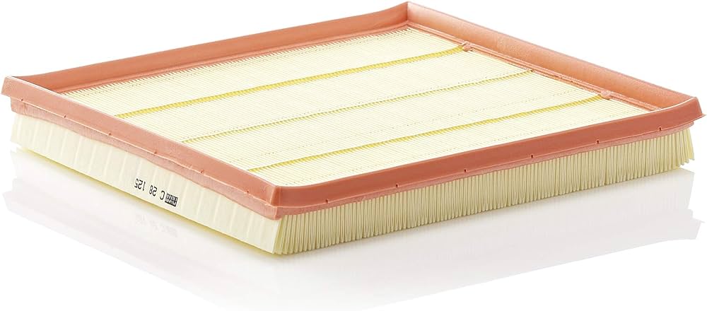 BMW Air Filter